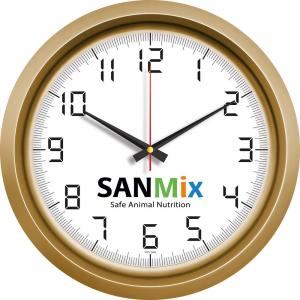 Metalize Duvar Saati ( Ø 40 cm )